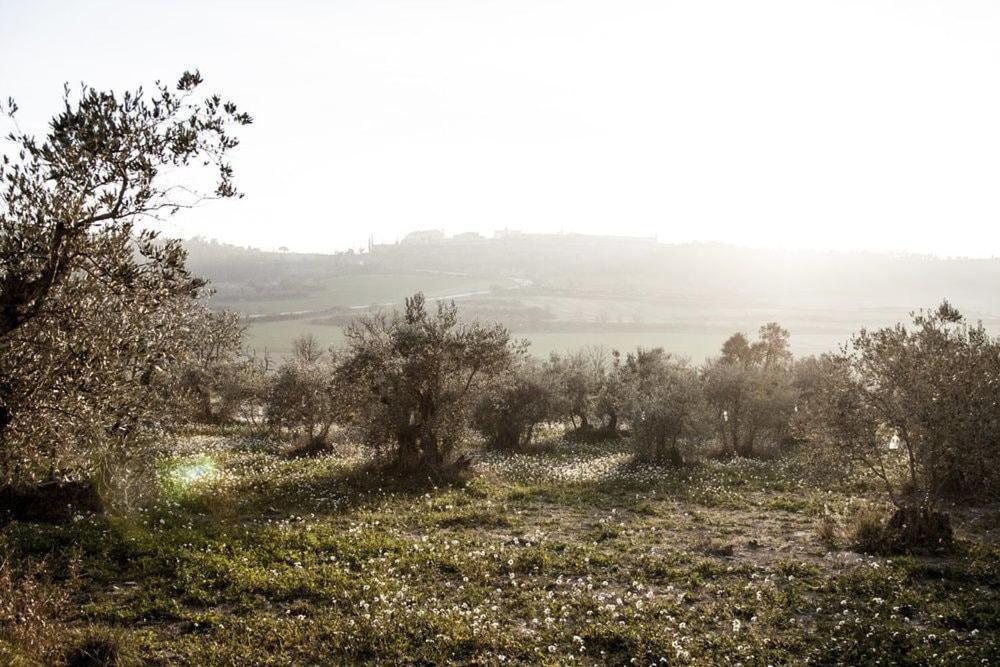 Masia Cal Millas - Turisme Rural Castellfullit de Riubregos Dış mekan fotoğraf